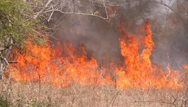 Feux de végétation – Alerte exceptionnelle sur Cayenne et Matoury