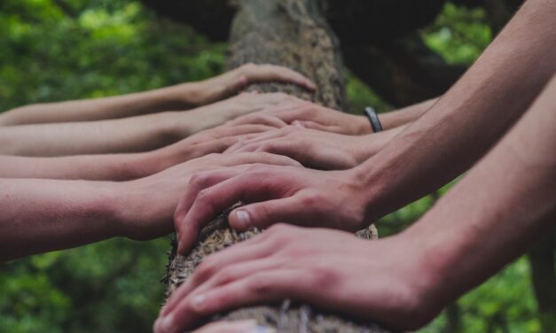 6 projets sélectionnés pour soutenir l’économie sociale et solidaire en Guyane