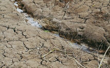 Modernisation du système d’indemnisation des pertes agricoles : le projet de loi entériné