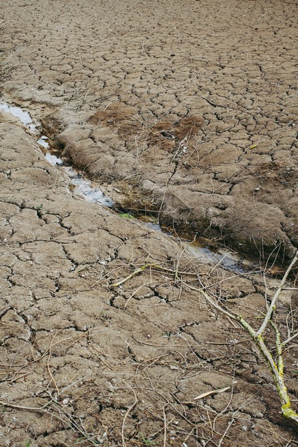 Modernisation du système d’indemnisation des pertes agricoles : le projet de loi entériné