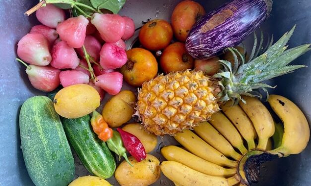 Vers une meilleure mise en place du programme européen “Lait et fruits à l’école” en Guyane