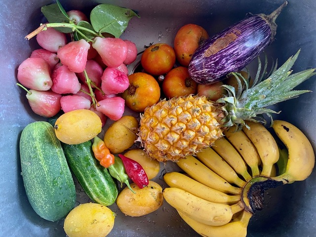 Vers une meilleure mise en place du programme européen “Lait et fruits à l’école” en Guyane