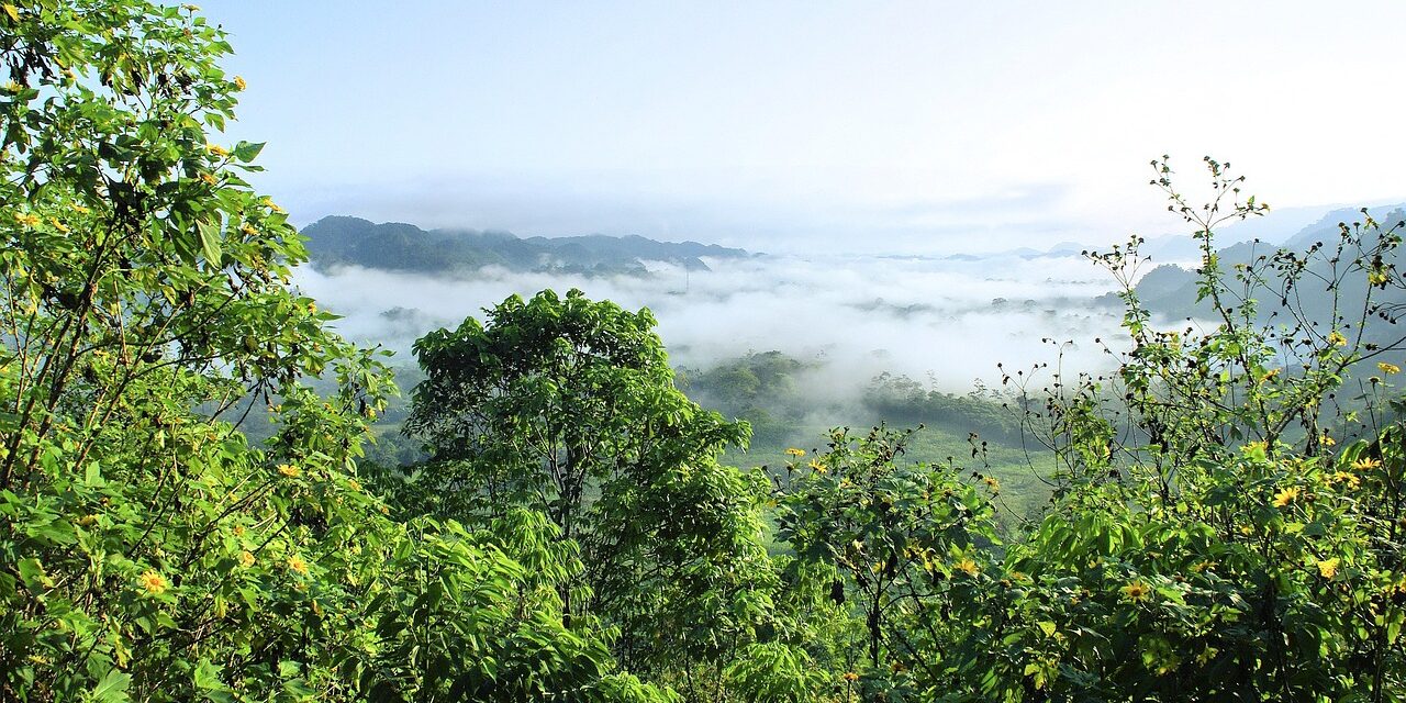 Interreg Amazonie : de nouvelles avancées dans la coopération