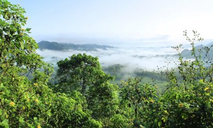 Interreg Amazonie : de nouvelles avancées dans la coopération